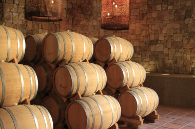 Pisco Elqui 'deki Pisco ekşi içki fabrikası