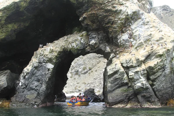 La Serena Şili yakınlarındaki Damas Adası