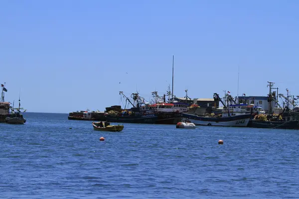 智利卡尔德拉Bahia Inglesia附近的海滩和港口 — 图库照片