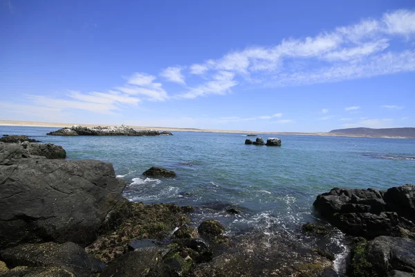 Παραλίες και λιμάνι κοντά στην Bahia Inglesia, Καλντέρα, Χιλή — Φωτογραφία Αρχείου