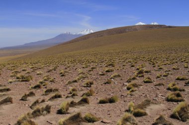 Salar de Atacama