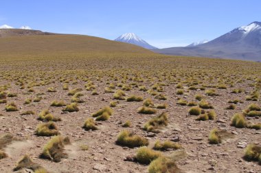 Salar de Atacama