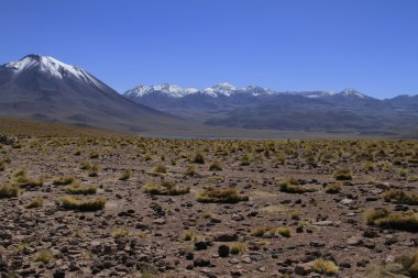 Salar de Atacama