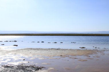 Laguna Cejar, Atacama, Chile