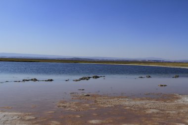 Laguna Cejar, Atacama, Chile