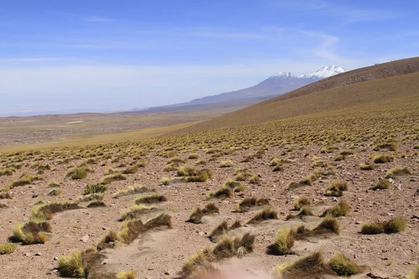 Salar de Atacama — Zdjęcie stockowe