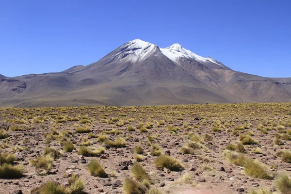 Salar de Atacama — Zdjęcie stockowe