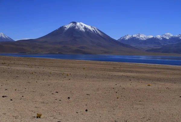 Salar de Atacama — Foto de Stock