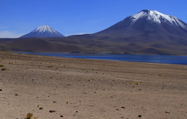 Salar de Atacama — Foto de Stock