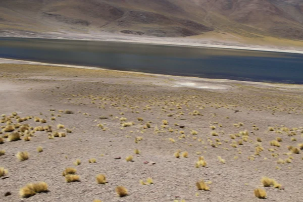 Salar de 阿塔卡马 — 图库照片