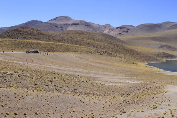 Salar de Atacama — Foto de Stock