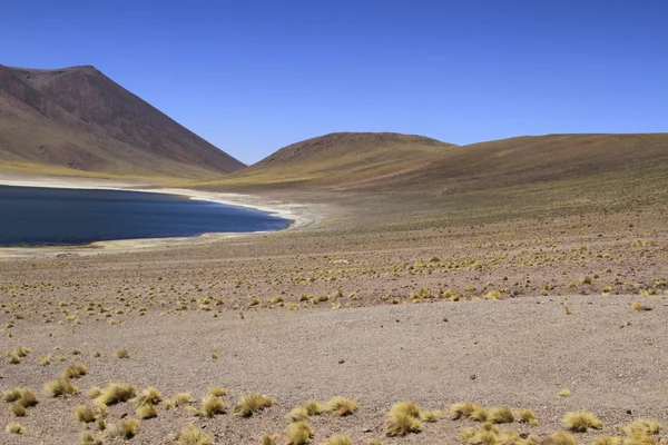 Salar de Atacama — Zdjęcie stockowe