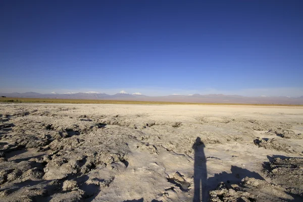 Laguna Cejar, Atacama, Chile — Fotografia de Stock