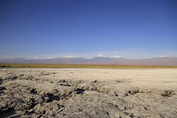 Laguna Cejar, Atacama, Chile — Foto de Stock