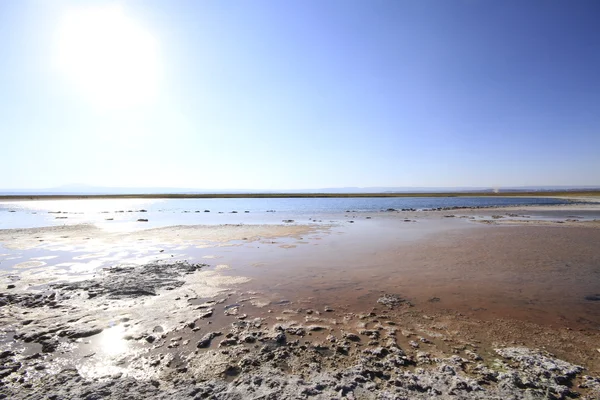 Laguna Cejar, Atacama, Chile — Zdjęcie stockowe