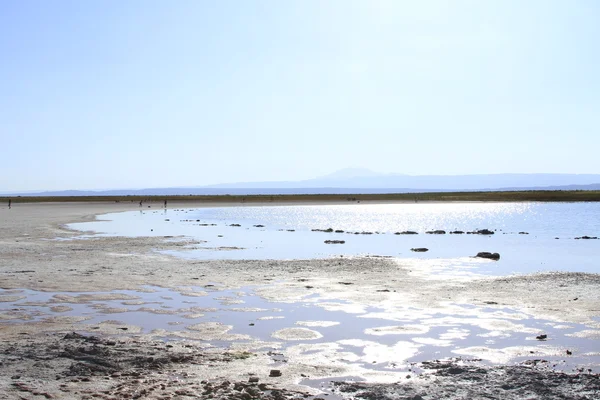 Laguna cejar, atacama, Chili — Stockfoto