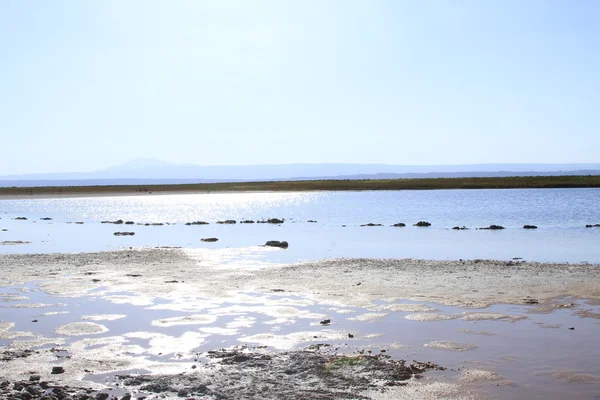 Laguna cejar, atacama, Chili — Stockfoto