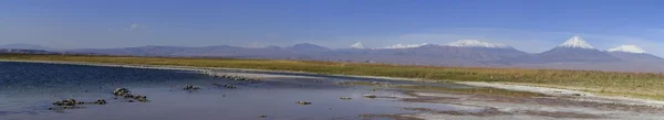 Laguna Cejar, Atacama, Chile — Zdjęcie stockowe