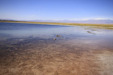 Laguna Cejar, Atacama, Chile