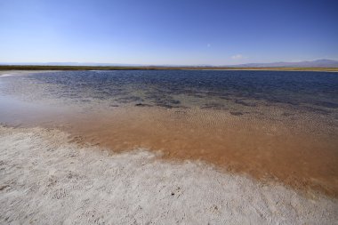 Laguna Cejar, Atacama, Chile