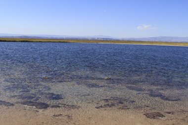 Laguna Cejar, Atacama, Chile