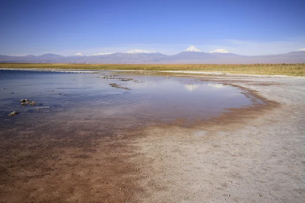Laguna Cejar, Atacama, Chile — Foto de Stock