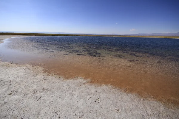 Laguna Cejar, Atacama, Chile — Fotografia de Stock
