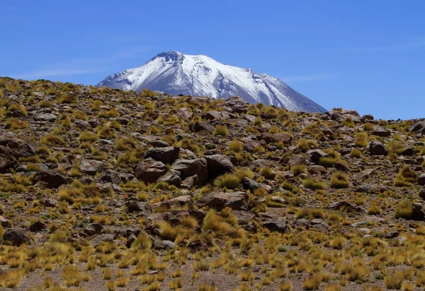 Salar de Atacama — Stock Fotó