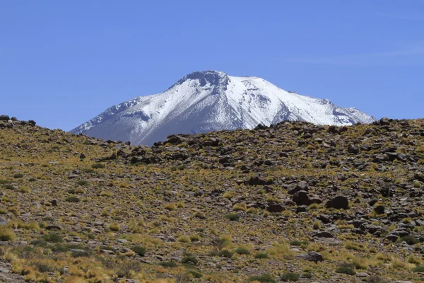 Salar de Atacama — Fotografia de Stock