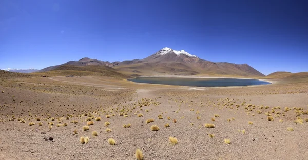Salar de Atacama — Stockfoto