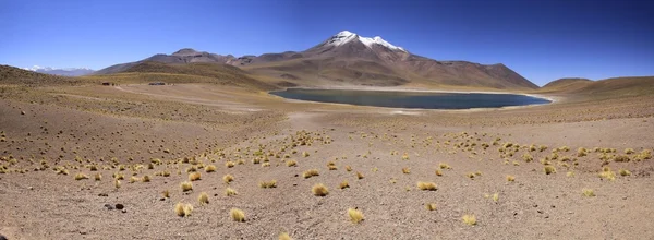 Salar de 阿塔卡马 — 图库照片