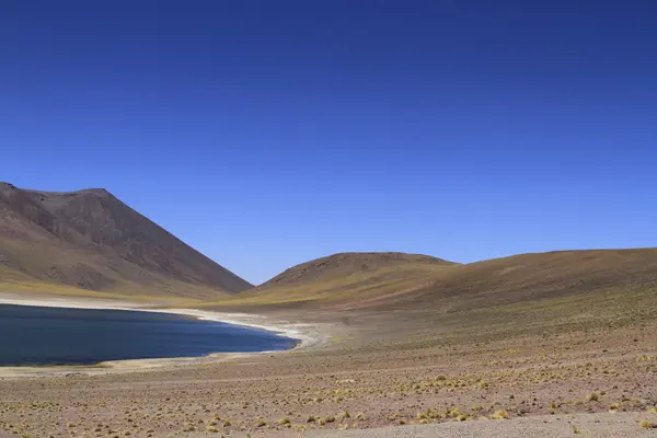 Salar de Atacama — Stockfoto