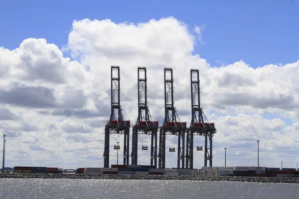 Hafen von montevideo uruguay — Stockfoto