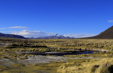 Parque Nacional Sajama