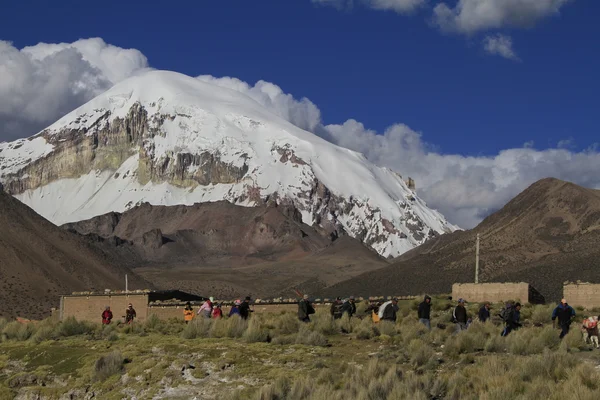 Parque Nacional Sajama — Stock fotografie