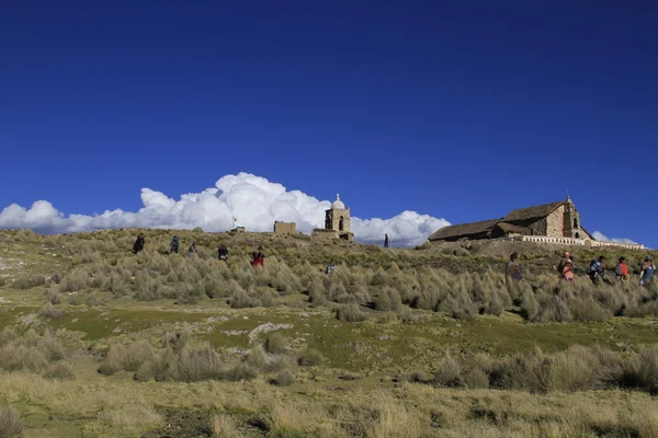 Parque Nacional Sajama — Fotografia de Stock