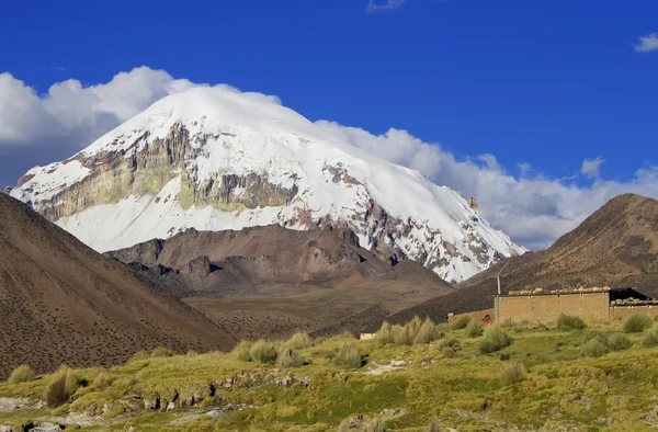 Parque Nacional Sajama — Foto de Stock