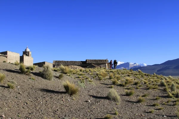 Parque nacional sajama — Stockfoto