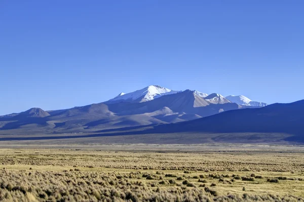 Parque nacional sajama — Stockfoto