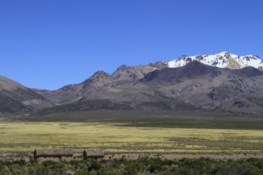Parque Nacional Sajama