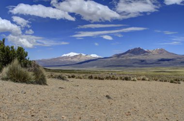 Parque Nacional Sajama