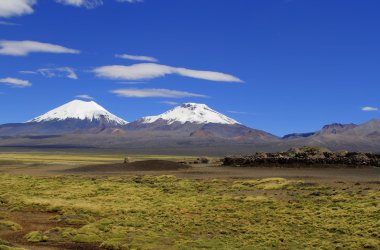 Parque Nacional Sajama