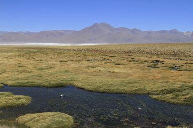 Eduardo Alveroa, Uyuni Bolivya