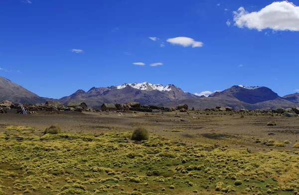 Parque Nacional Sajama — Stockfoto