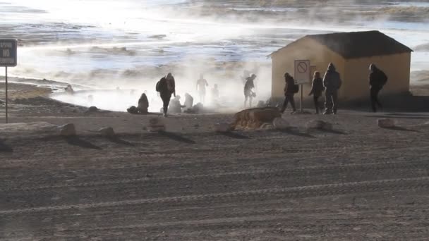 Salar는 드 Uyuni의 열 온천 — 비디오