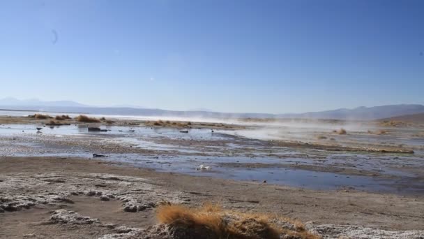 Termál hőforrásairól Salar De Uyuni — Stock videók