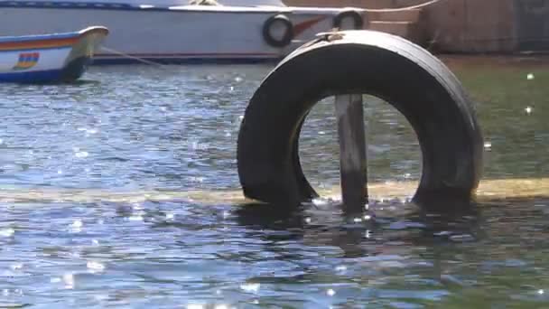 Шина в воде — стоковое видео
