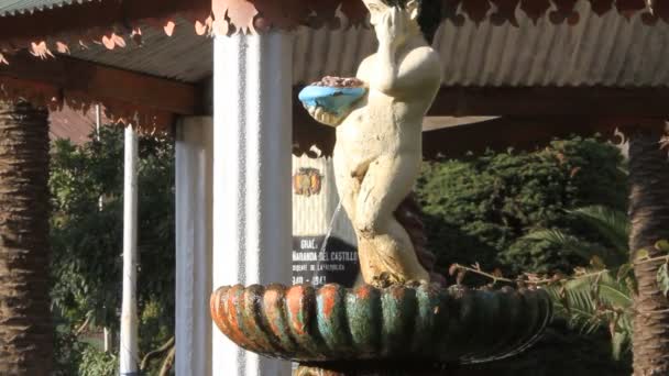 Brunnen in Bolvia — Stockvideo