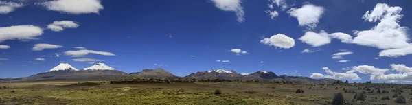 Parque Nacional Sajama — Stock fotografie