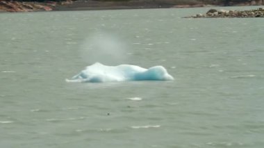 Patagonya buzulların